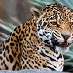 V̳̿a̳̿l̳̿d̳̿i̳̿s̳̿o̳̿n̳ 1