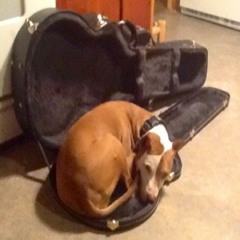 Lead Me astray - Jayke Orvis & the Broken Band Cover