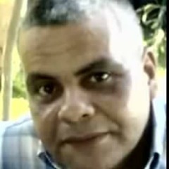 Elsayed Abdelzaher Ahmed