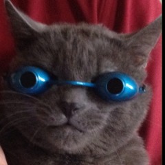 Epic Neko of Doom!!!