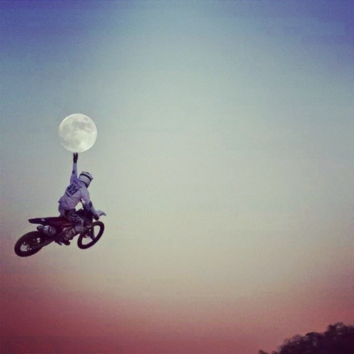 Stream -x-Taylor-x- music | Listen to songs, albums, playlists for free