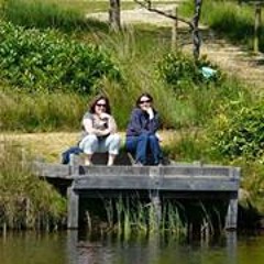 Charmaine Bliss Midgley