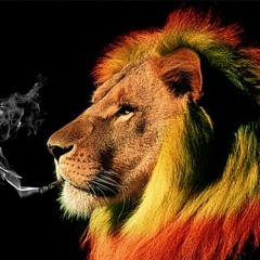 Trippy