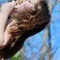 Rhapsody .OfJoy