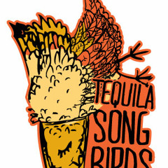 Tequila Songbirds