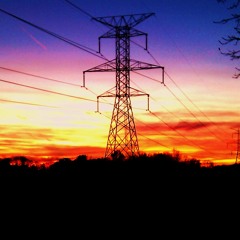 Freshwater Whaleshark