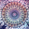 OMniflux