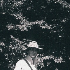 Daniel Elvis Chiforec