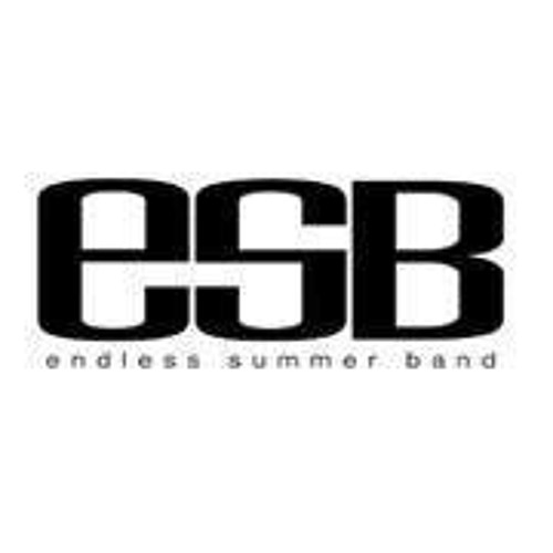 Endless Summer Band’s avatar