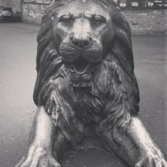 LSRZ