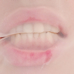 Bears attackTheVillagers