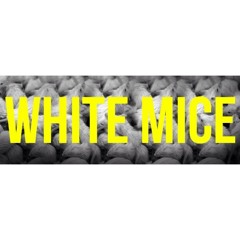 White Mice