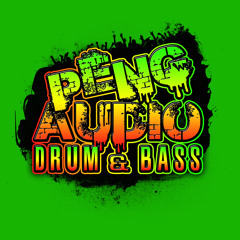 PENG AUDIO D&B 2014