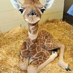 Laura Jade Malinovsky