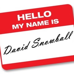 DavidSnowballproducer