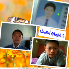 Muhammad Naufal Majid