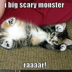 ramblintigerlilycat2