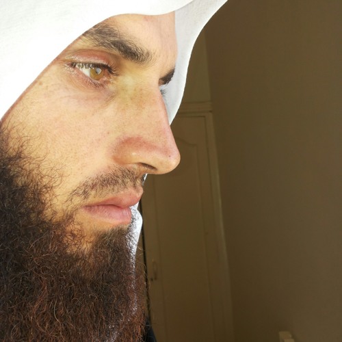 ادريس ابكر وصف حور العين من نونية ابن القيم