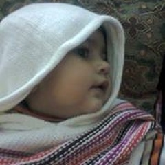 Muhammad Umair Shahzada