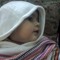 Muhammad Umair Shahzada