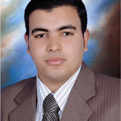 Ahmed Abdelhady Ahmed