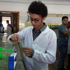Hesham Abd El-Hamid 1