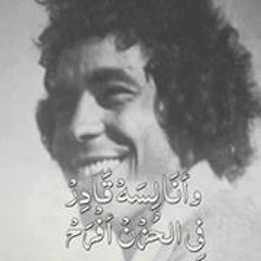 Mahmoud Magedy 1