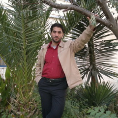 ahmad safi 1989