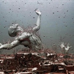 Sebastiaan Vos-de Vries