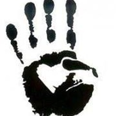 Entrenador Avila Arturo