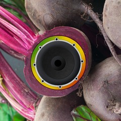 Ital Sound