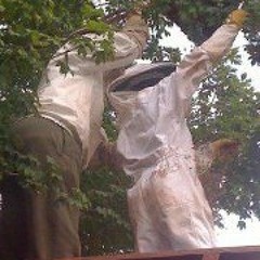 David Gonzalez Jr. 3