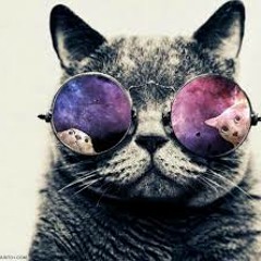 trippycat