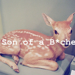 House of Bambi