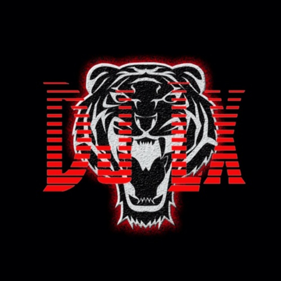 Stream DjLX music | Listen to songs, albums, playlists for
