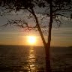 Claudia Hernandez 85