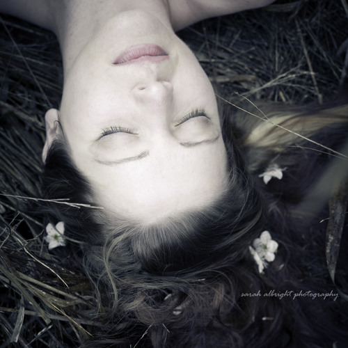 Stream Lorelei Reed 1 music | Listen to songs, albums, playlists for ...