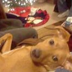 Anthony Loud Pulliam