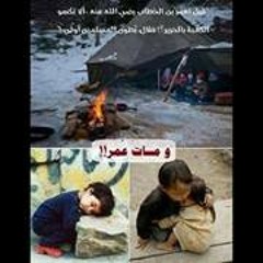 Suhaib Alshref