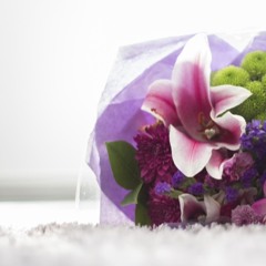 ناصر القطامي