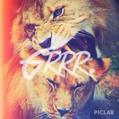 Markus Blystad Ellevog