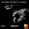 Wildbutterflymusic