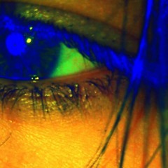 Emammally Froob Harrison