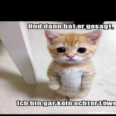 Blümschen Van Blümschen