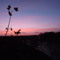 My-Tranquility