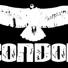 Banda Condor
