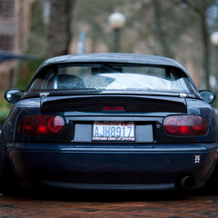 Alex Dimitrie Mujdei