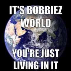 Bobbiez World