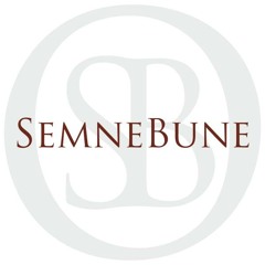 SemneBune