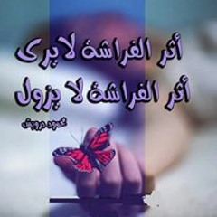 ASMAA SALAMA